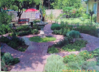 Herb Garden #2
