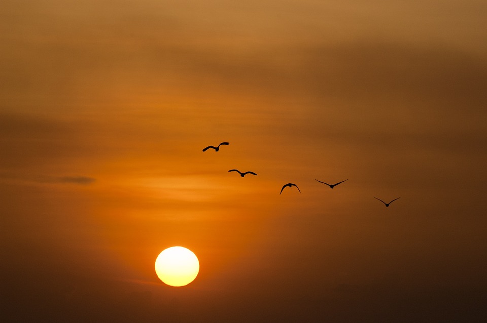 Why Knowing Your Sun Sign is not Enough