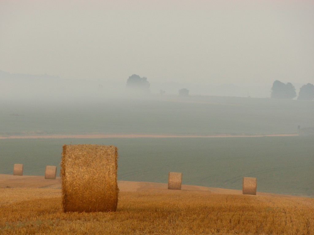 Image by Michal Kubisek