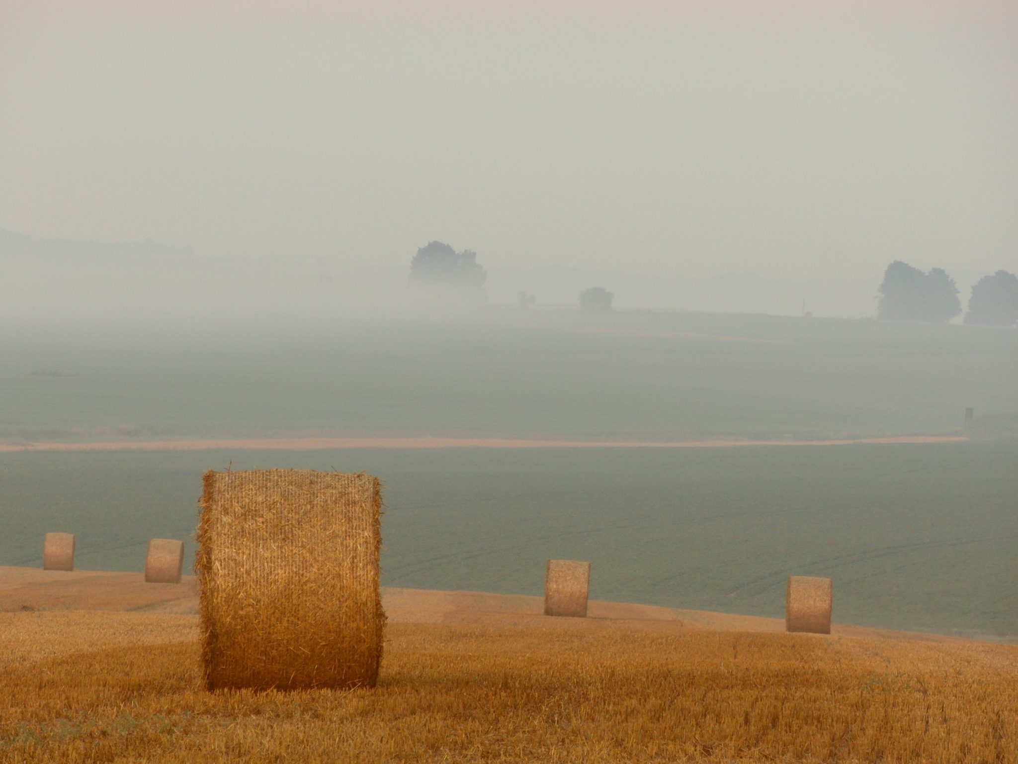 The Astrology of Autumn