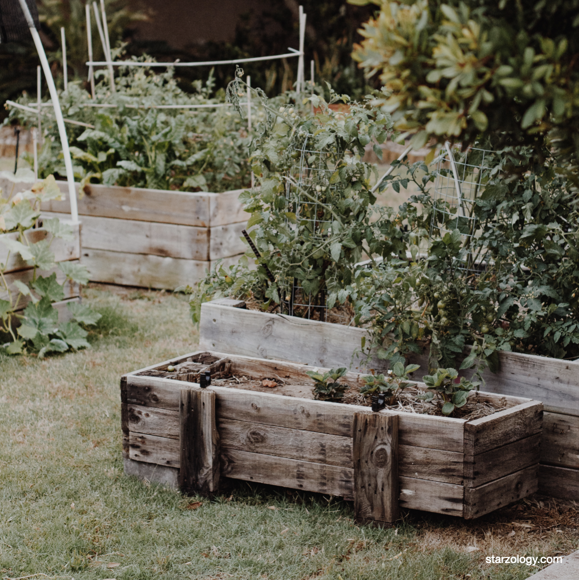 Gardening with Astrology